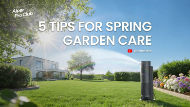 5 Tipps für die Gartenpflege im Frühling